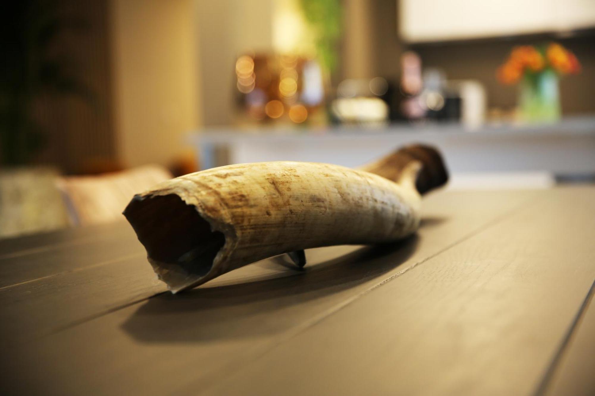 L'Appart Baobab, Avec Sauna Liège Eksteriør billede